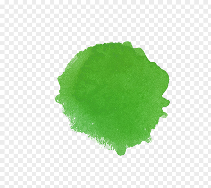 Leaf PNG