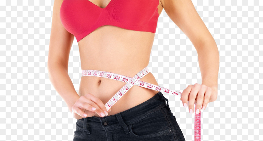 Losing Weight Loss Adipose Tissue Management Gain Abdominal Obesity PNG