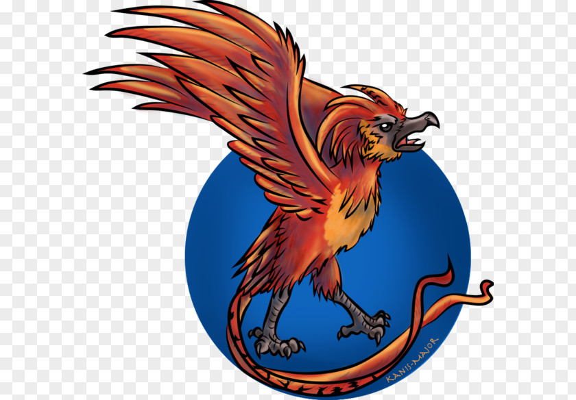 Phoenix Fawkes Drawing Digital Art PNG