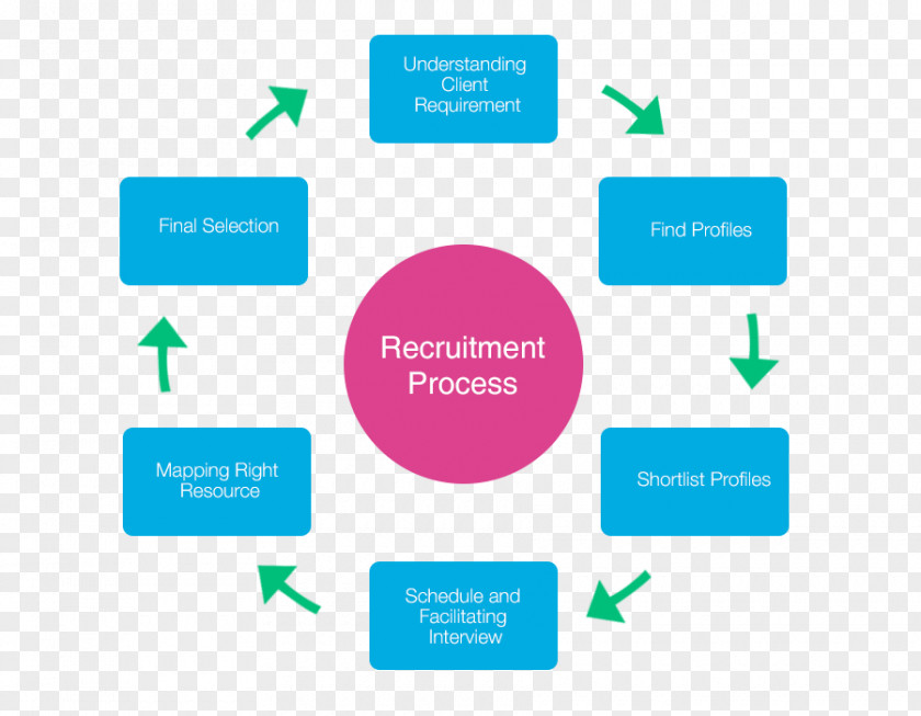 Recruitment Process Outsourcing Business Human Resource PNG