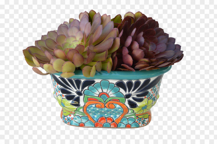 Suculent Flowerpot Cup Baking PNG