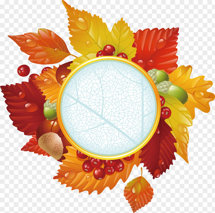 Beautiful Autumn Leaves Label Leaf Clip Art PNG