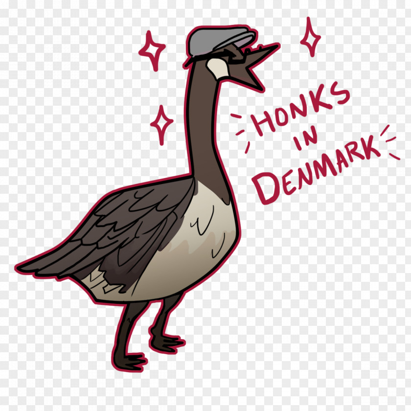Goose Duck Seabird Fauna Illustration PNG