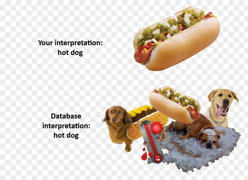 Hot Dog Breed Days Puppy PNG