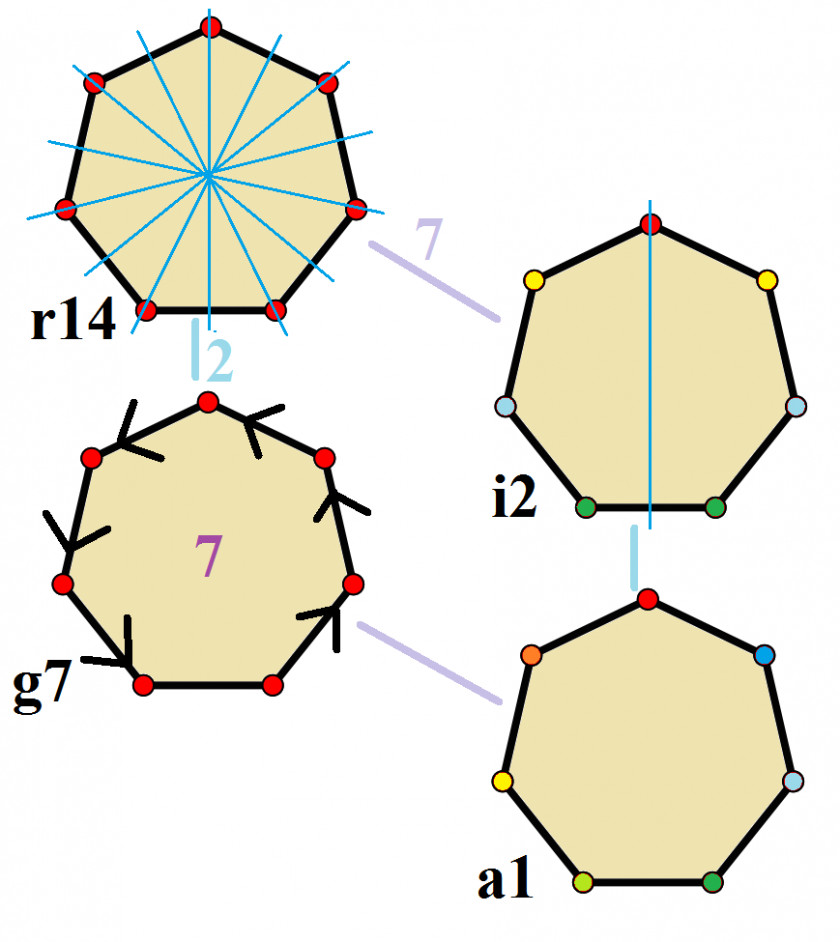 Symmetrical Lines Heptagon Symmetry Hendecagon Polygon Point Group PNG