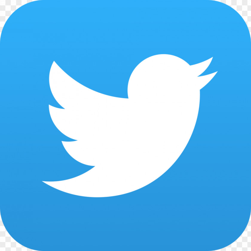 Twitter Social Media Logo Information PNG