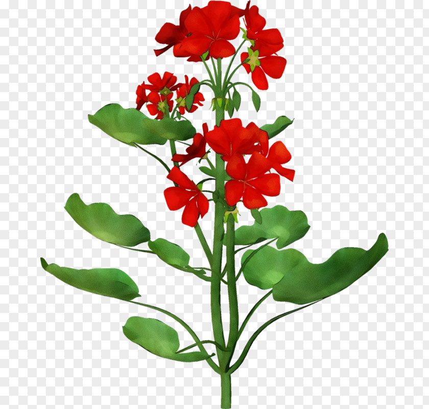 Artificial Flower Fire Lily PNG