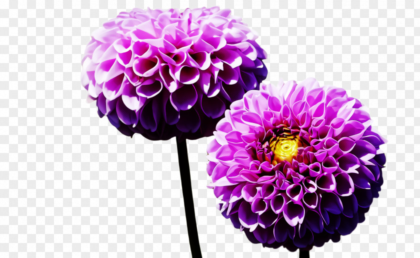 Artificial Flower PNG