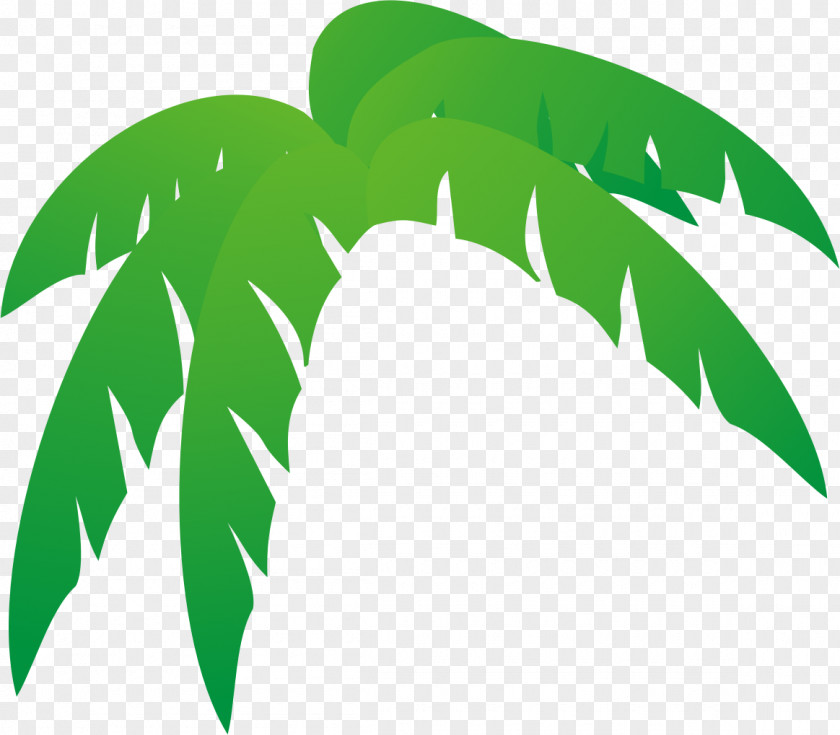 Big Leaves Cliparts Arecaceae Leaf Palm Branch Tree Clip Art PNG