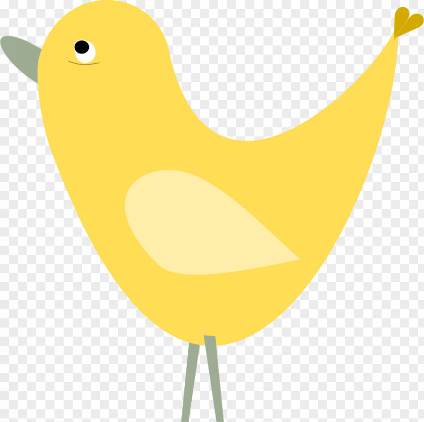 Graphics Of Birds Beak Bird Duck Chicken Goose PNG