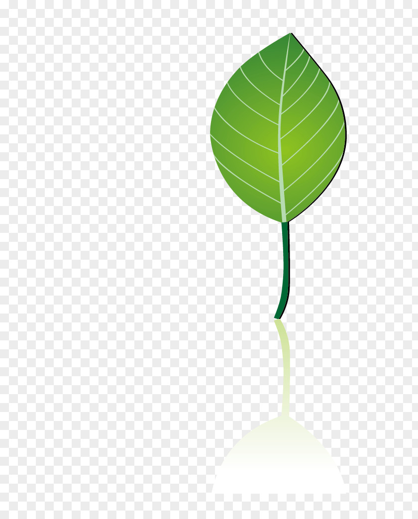 Green Leaves Leaf Water Pattern PNG