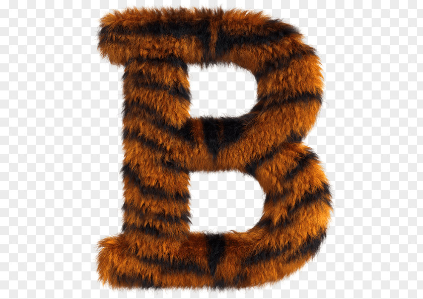 Animal Letters Tiger Fur Letter Roar Font PNG