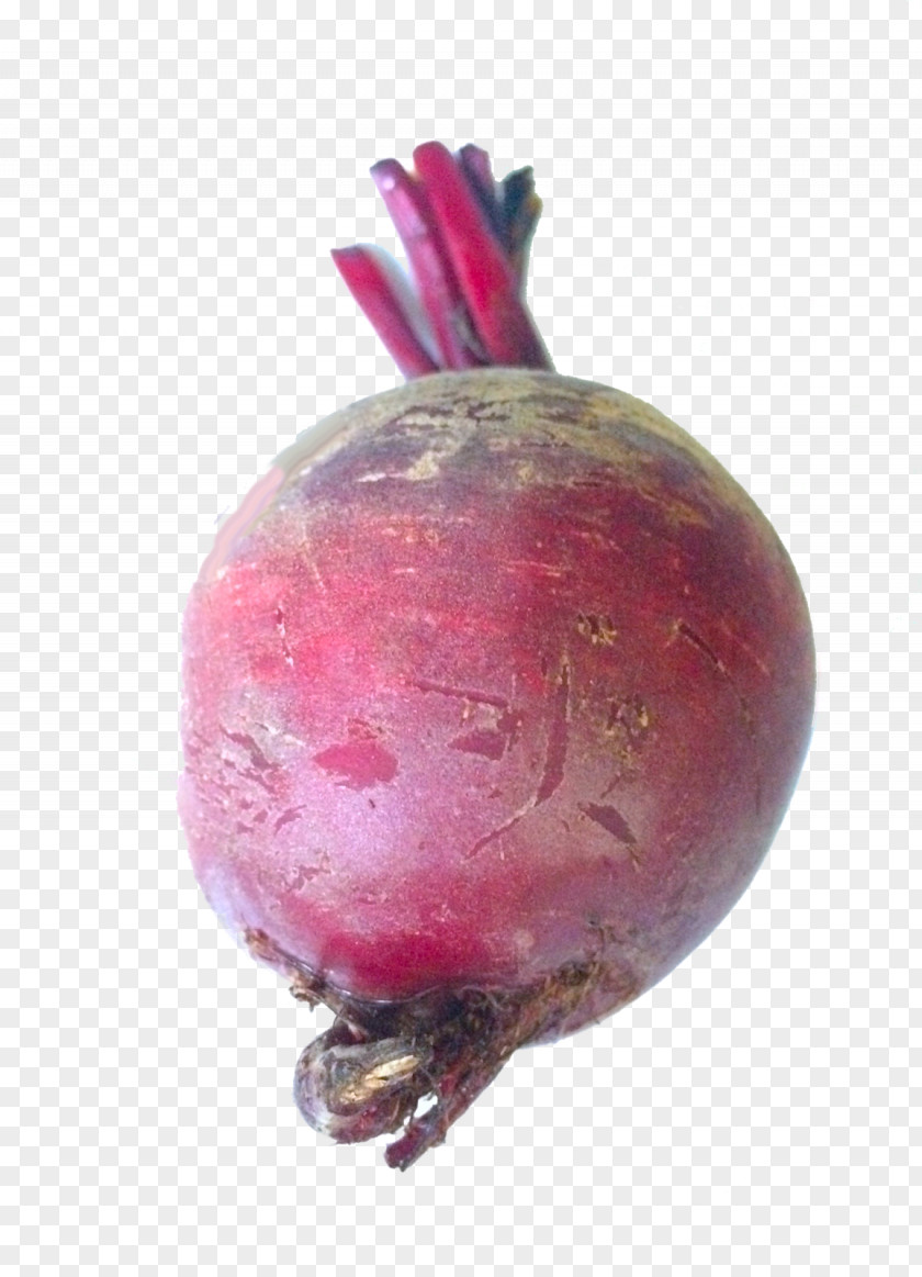 Beet Sugar Beetroot Food PNG