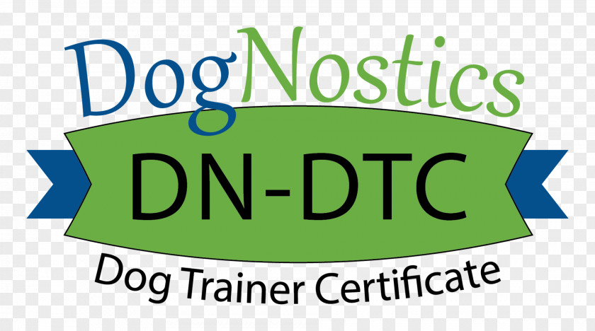 Dog National Exam Education Student Diploma PNG