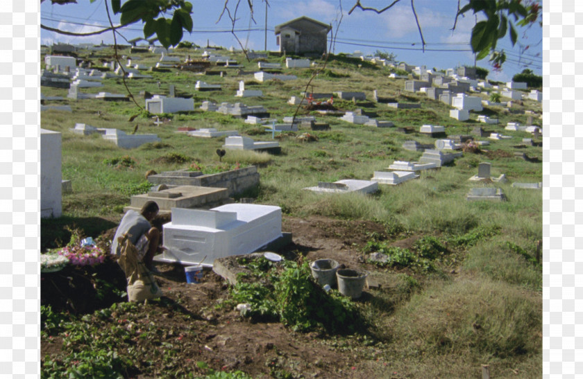 England Pérez Art Museum Miami Cemetery Plant Community PNG