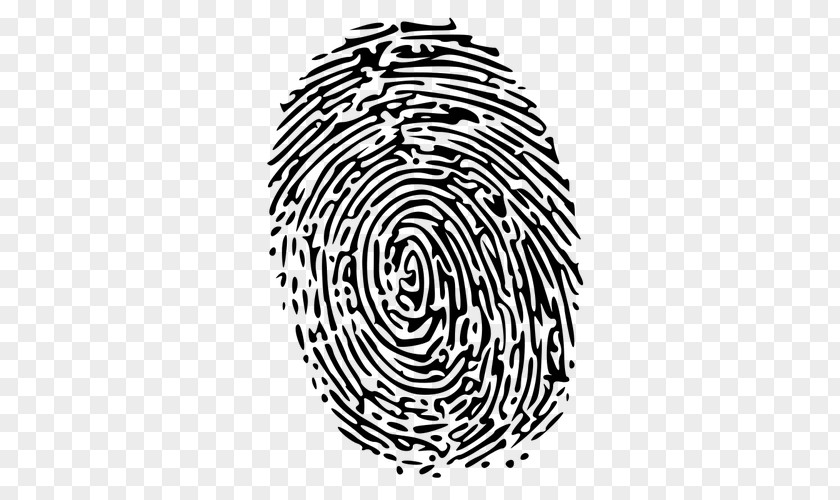 Fingerprint Clip Art PNG