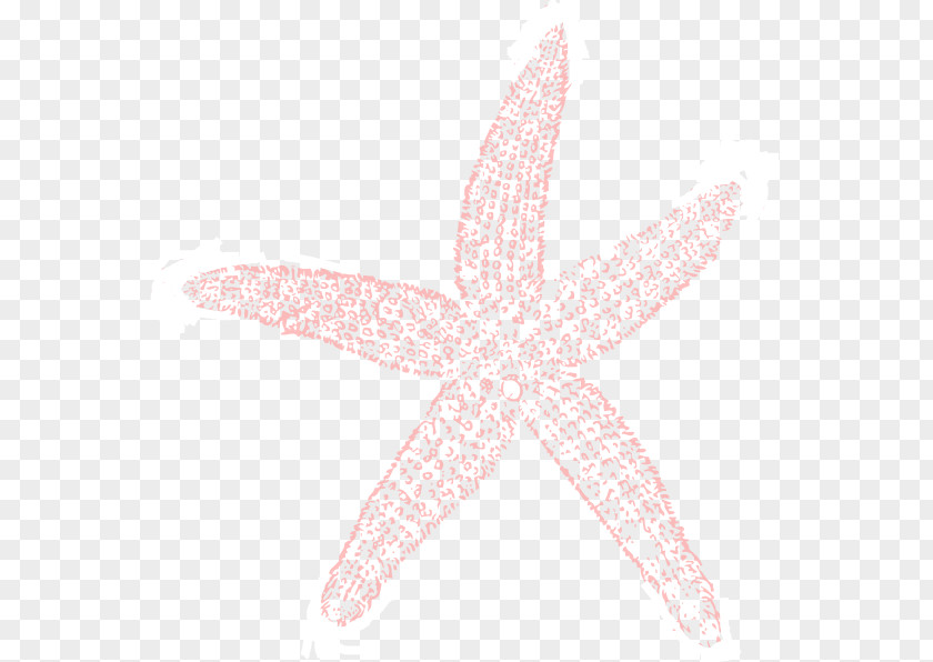 Starfish Wedding Shoes Flip-flops PNG