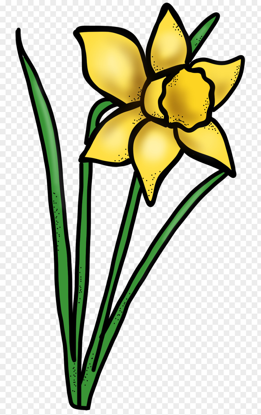 Stem Daffodil Spring Floral Design National Primary School Easter Cut Flowers PNG