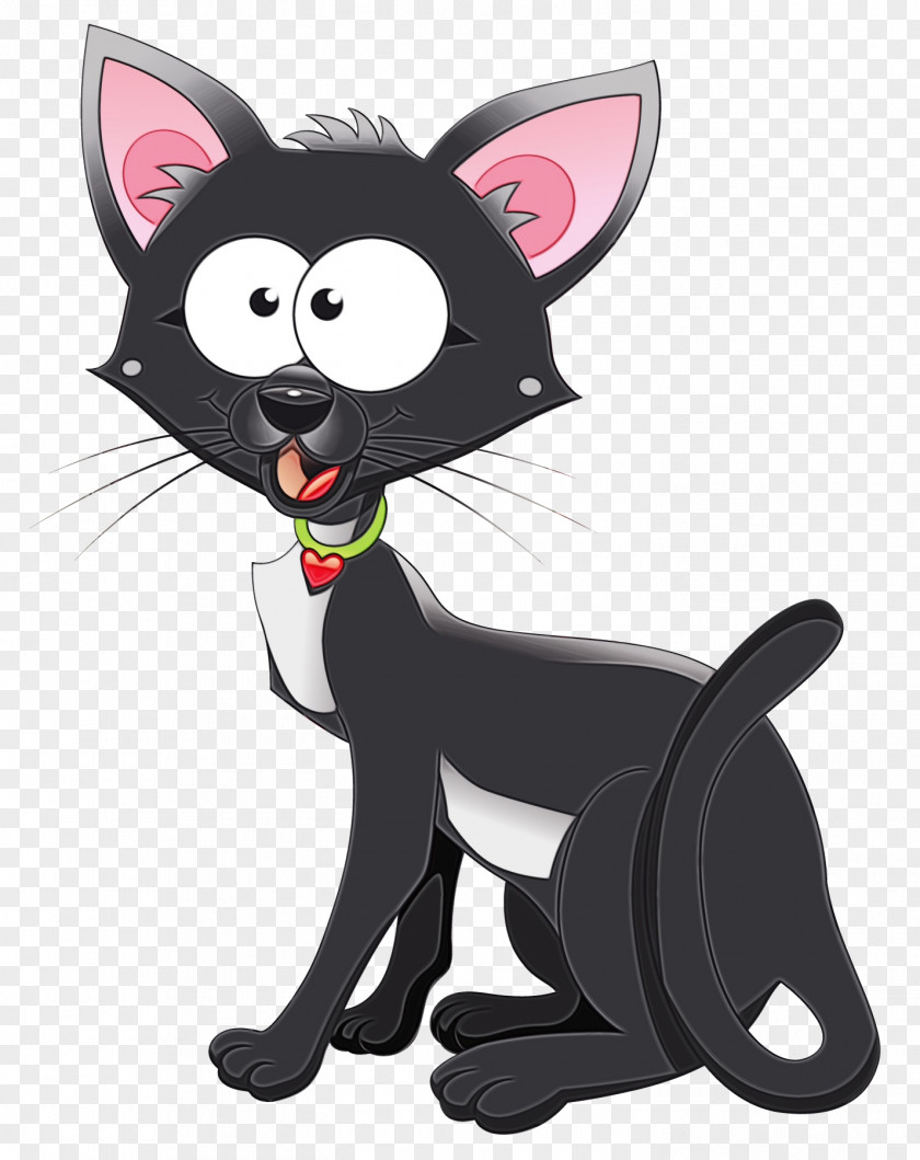 Tail Animation Cat Lady Whiskers Kitten Cattery PNG