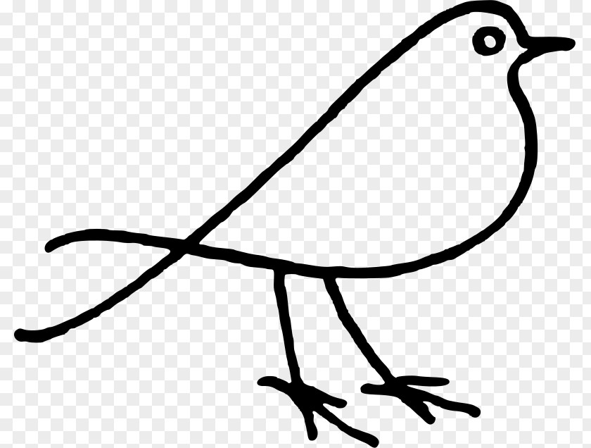 Bird Doodle Drawing Clip Art PNG