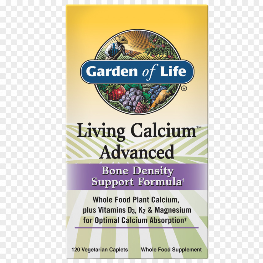 Calcium Bone Dietary Supplement Multivitamin PNG