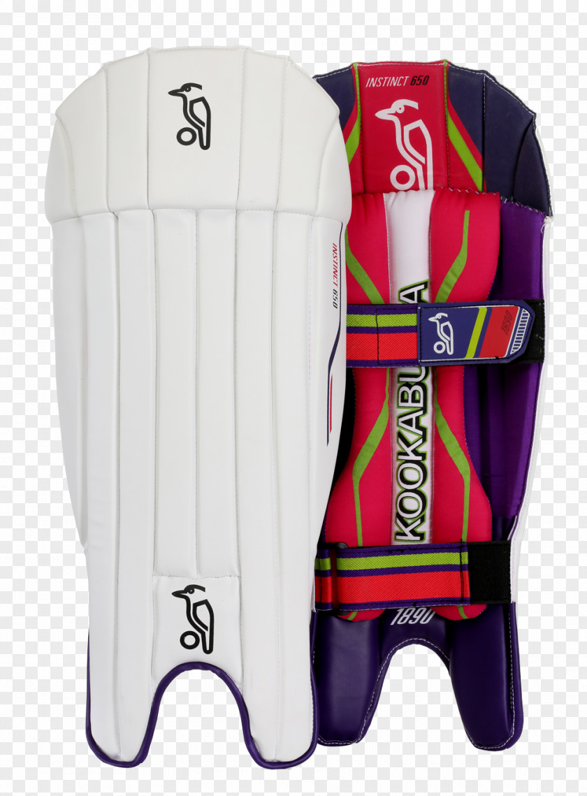 Cricket Wickets Bats Wicket-keeper Pads Kookaburra PNG