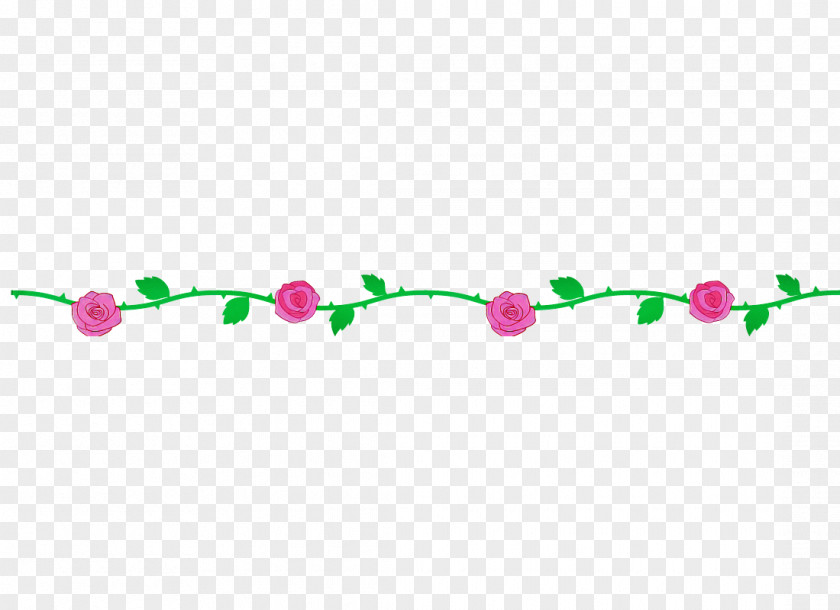 Pink Line Branch Plant PNG