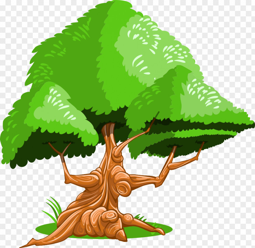 Vector Cartoon Green Trees PNG
