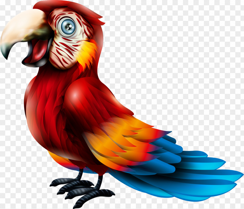 Vector Red Parrot Macaw Bird Lories And Lorikeets PNG