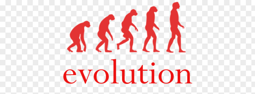 Human Evolution Homo Sapiens The Origin Of Brands Ape PNG