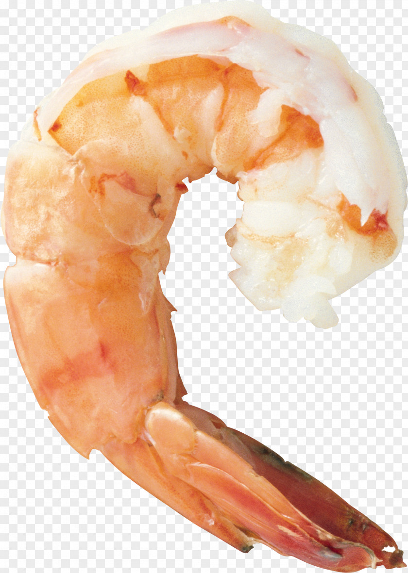 Shrimps Shrimp Prawn Cocktail Seafood Cooking PNG