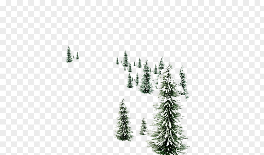 Snowman Desktop Wallpaper Pine Christmas Day PNG