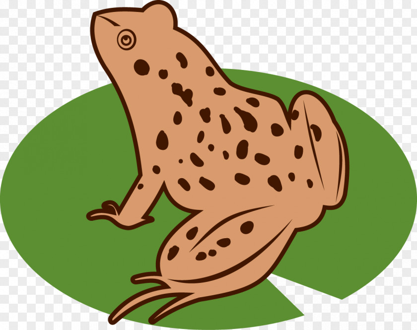 Wetland Plants Toad True Frog Tree Clip Art PNG