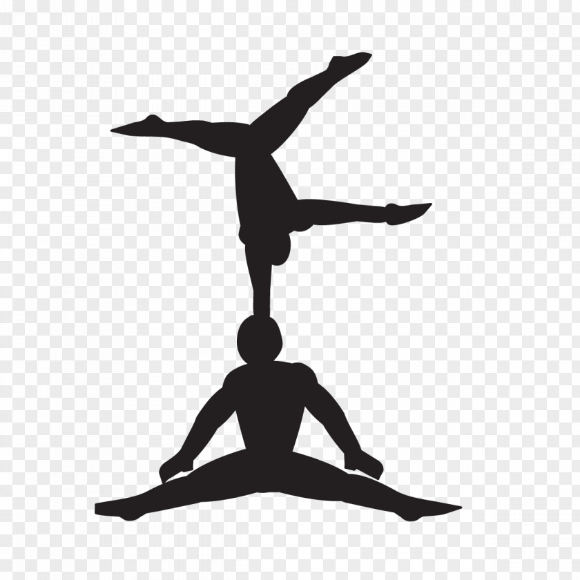 Aerial Silk Acrobatics Classes Graphics Whisky Black & White 750 Ml Silhouette Facebook Physical Fitness PNG