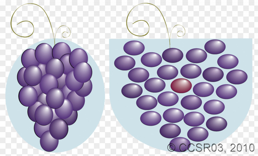 Compression Grape PNG