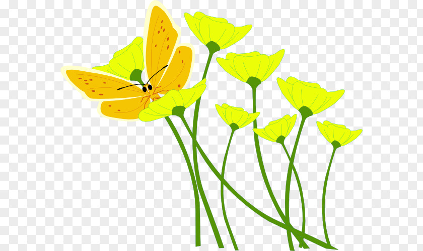 Images Yellow Flowers Flower Poppy Clip Art PNG