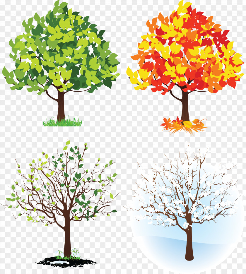 Orange Tree Four Seasons Hotels And Resorts Clip Art PNG