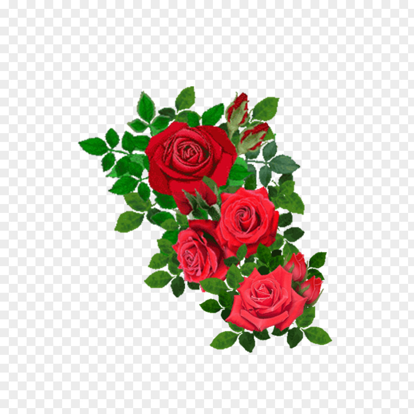 Red Rose Beach Flower Clip Art PNG