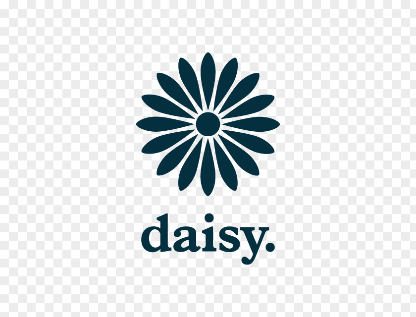 Saisy Common Daisy Flower PNG