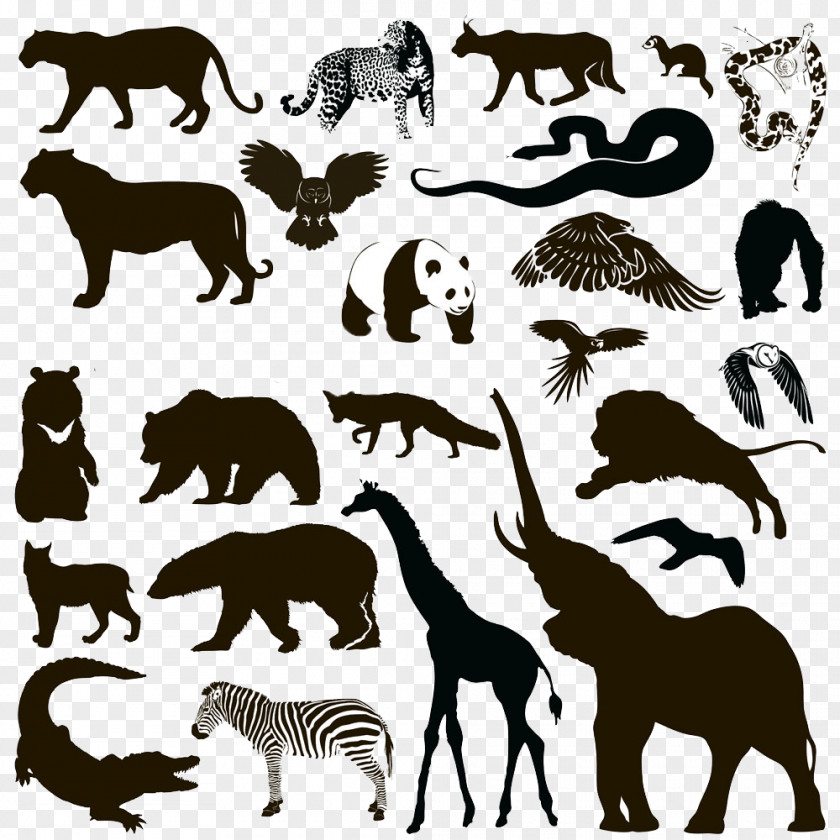 Animal Silhouettes Silhouette Wildlife PNG