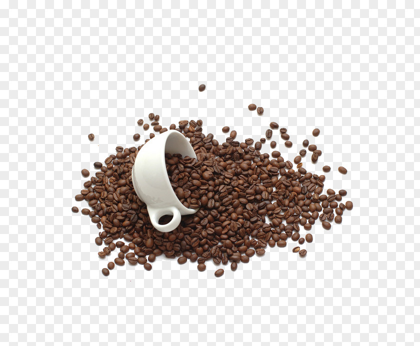 Coffee Beans Bean Tea Chocolate Milk Cup PNG