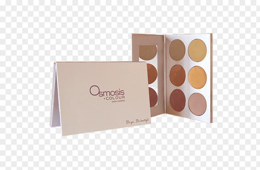 Eye Shadow Face Powder Color Palette PNG