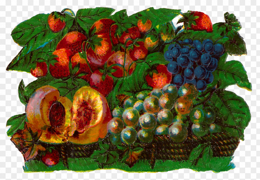 Fruits Basket Fruit Digital Art Watercolor Painting Food Gift Baskets Clip PNG