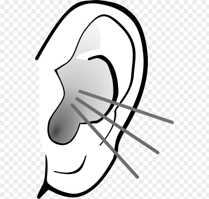 Pictures Of Listening Ear Anatomy Pointy Ears Clip Art PNG
