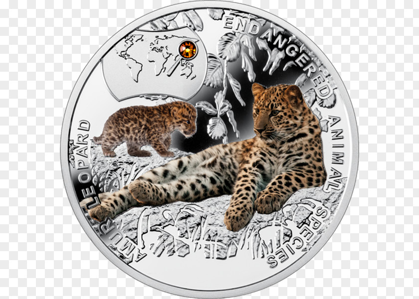 Silver Coin Jaguar Leopard PNG