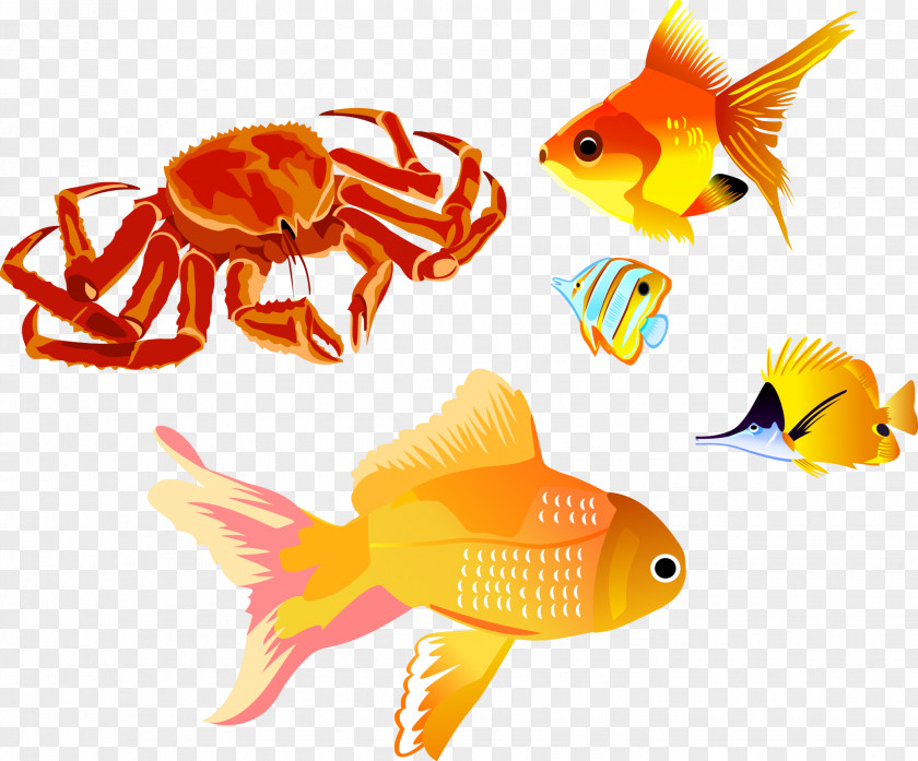 Vector Fish Red King Crab Clip Art PNG