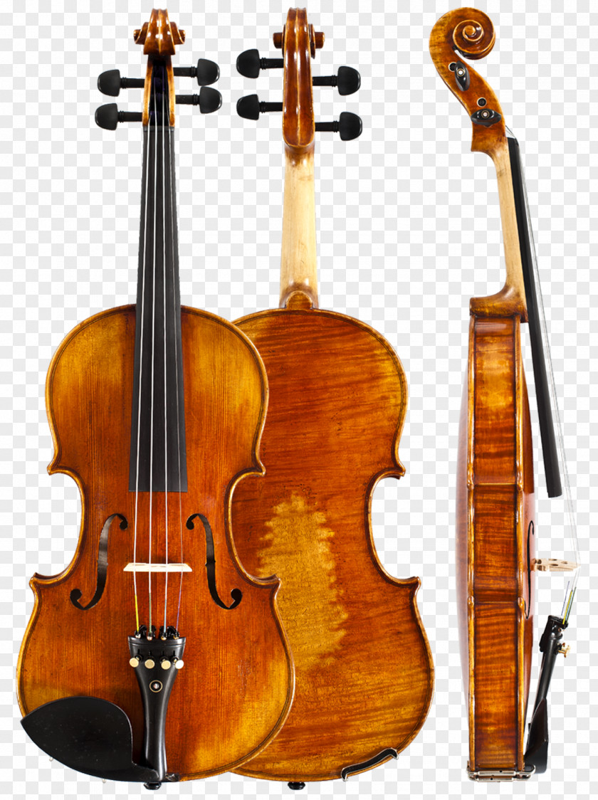 Violin Amati Musical Instruments String Stradivarius PNG