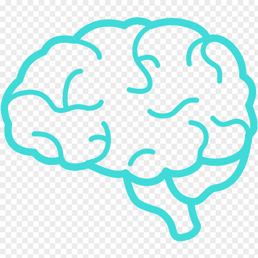 Brain Thinking Outline Of The Human Clip Art PNG