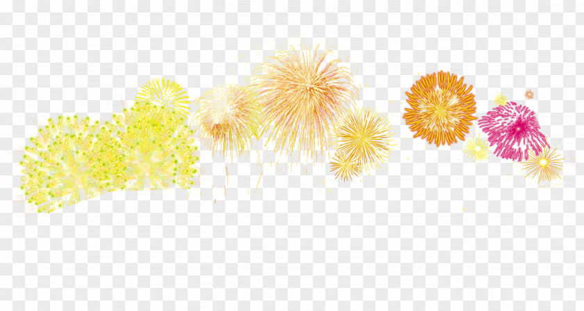 Colorful Fireworks Bursting Element Graphic Design Text Petal Illustration PNG