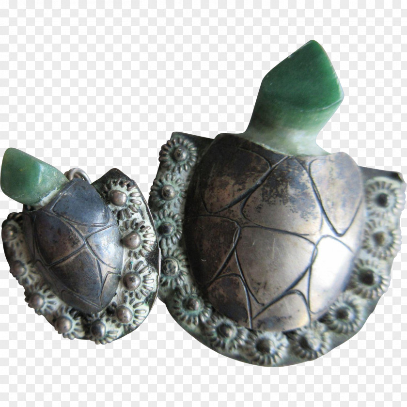 Turtle Jewellery Turquoise Tortoise PNG